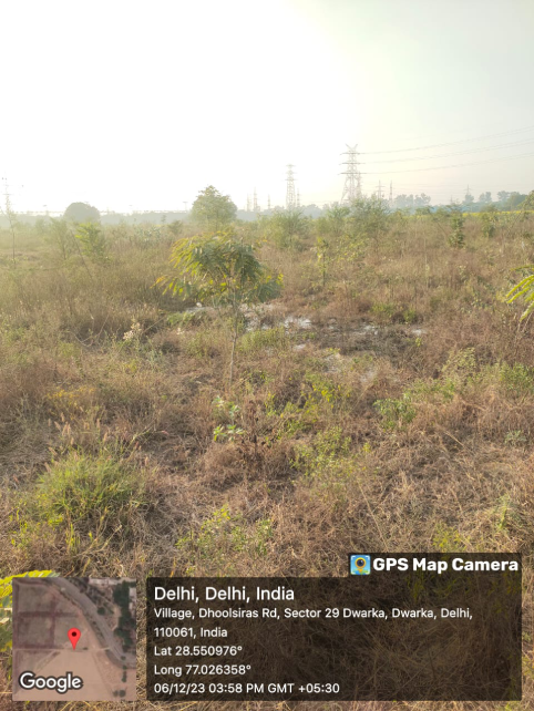 Compensatory Afforestation